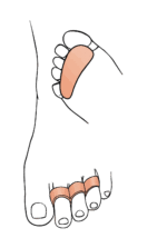 پد فاصله دهنده سه انگشتی  OTESSY free size فروشگاه پزشکی پدر طالقانی کرج - Image 2